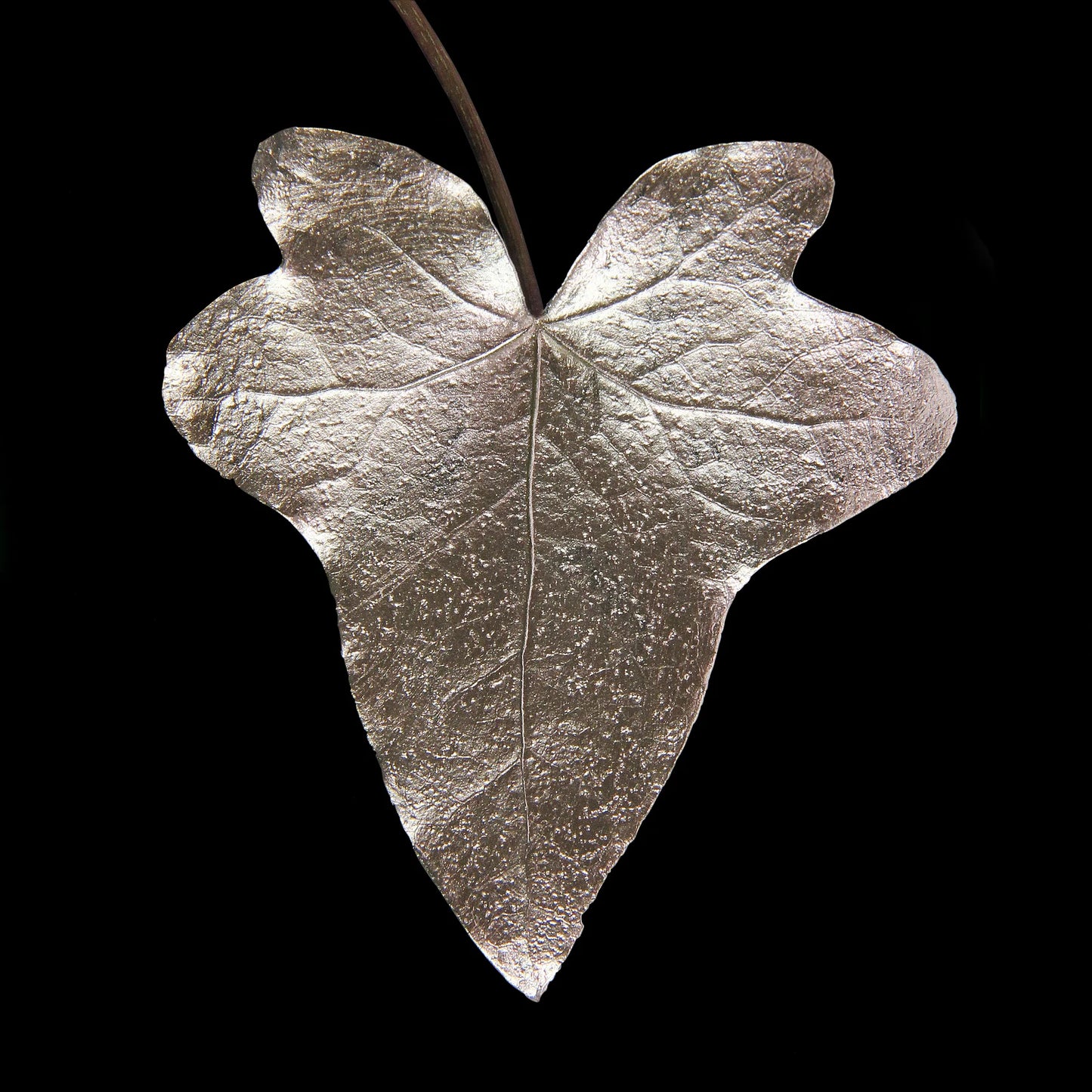 Champagne Acrylic Gilding Enamel - GILD