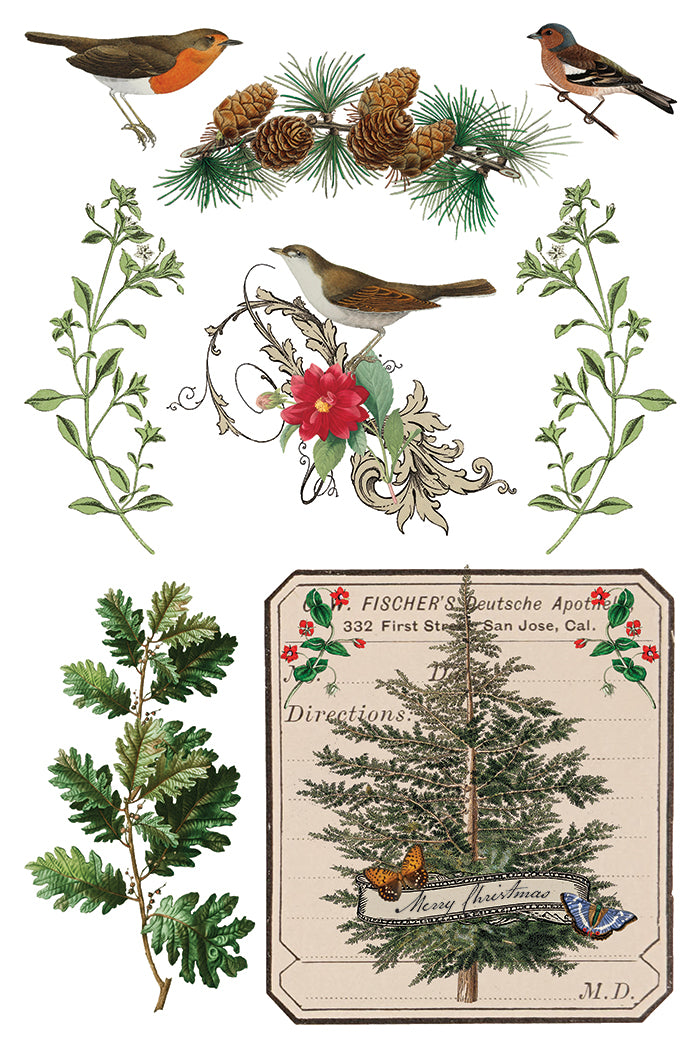 Winter Botanist IOD Transfer - Iron Orchid Designs