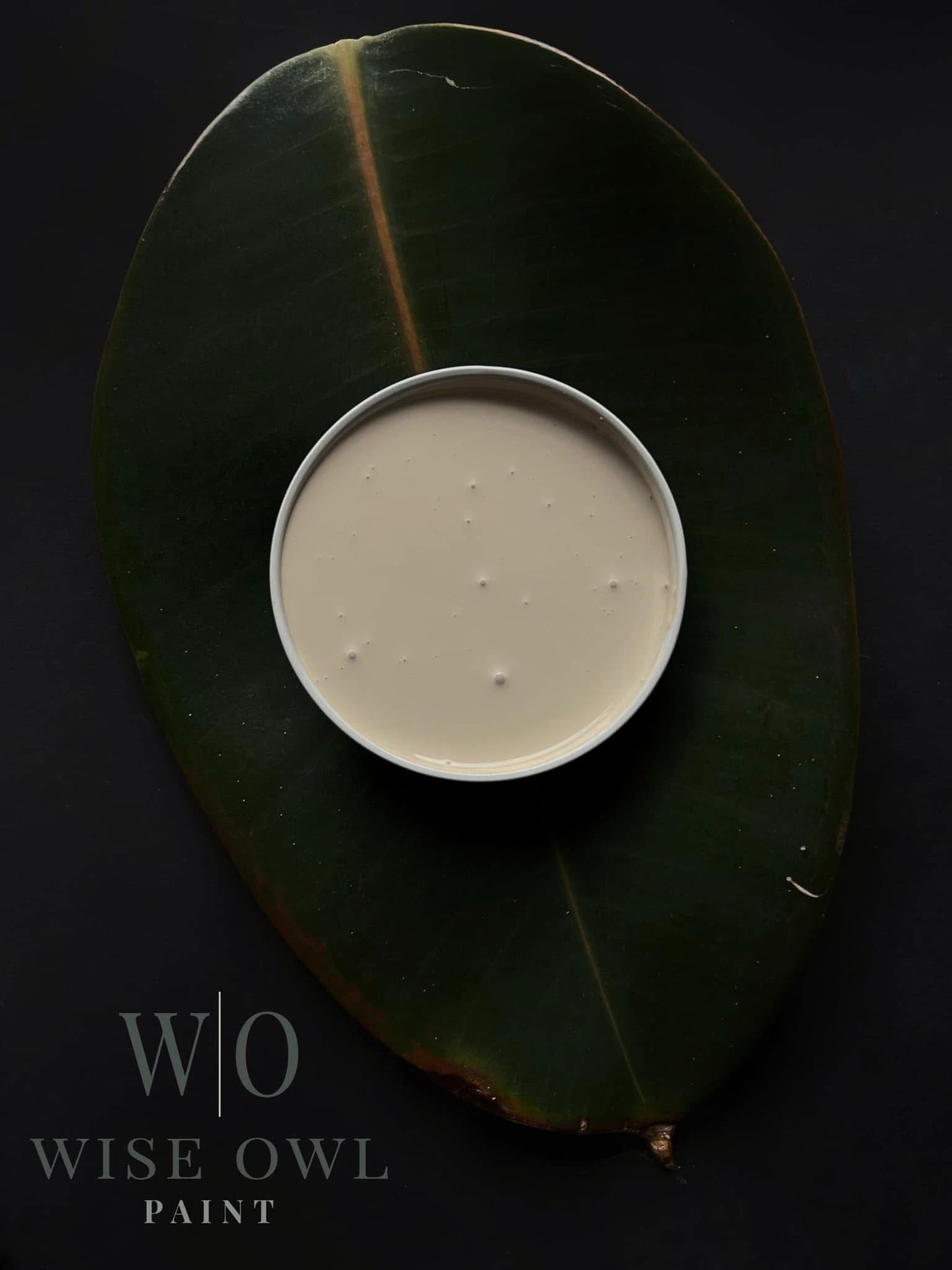 Wise Owl One Hour Enamel Paint - FAUNA | Mushroom Kitchen Cabinet and Furniture Paint