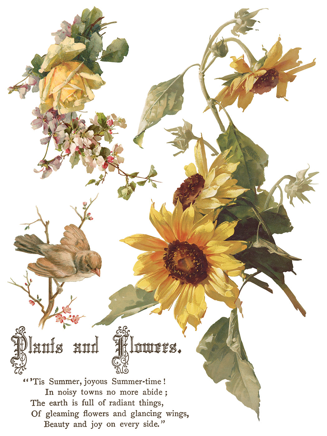 Flowers By The Poets IOD Transfer - Iron Orchid Designs