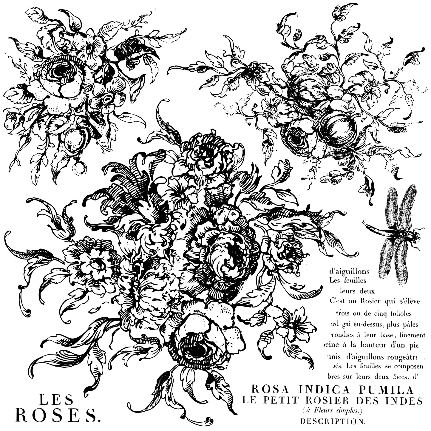 Rose Toile IOD Stamps - Iron Orchid Designs