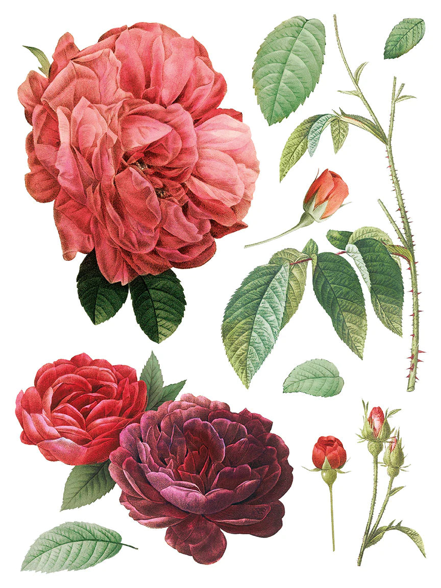 Redoute II IOD Transfer - Iron Orchid Designs