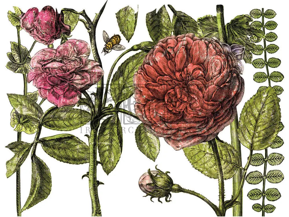 Botanist Journal IOD Transfer - Iron Orchid Designs