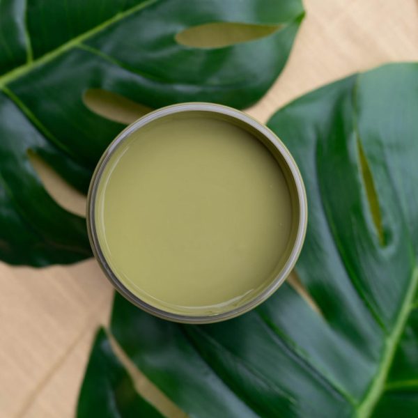 Everglades - Dixie Belle Silk All-In-One Mineral Paint