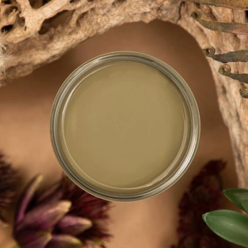 Cactus - Dixie Belle Silk All-In-One Mineral Paint