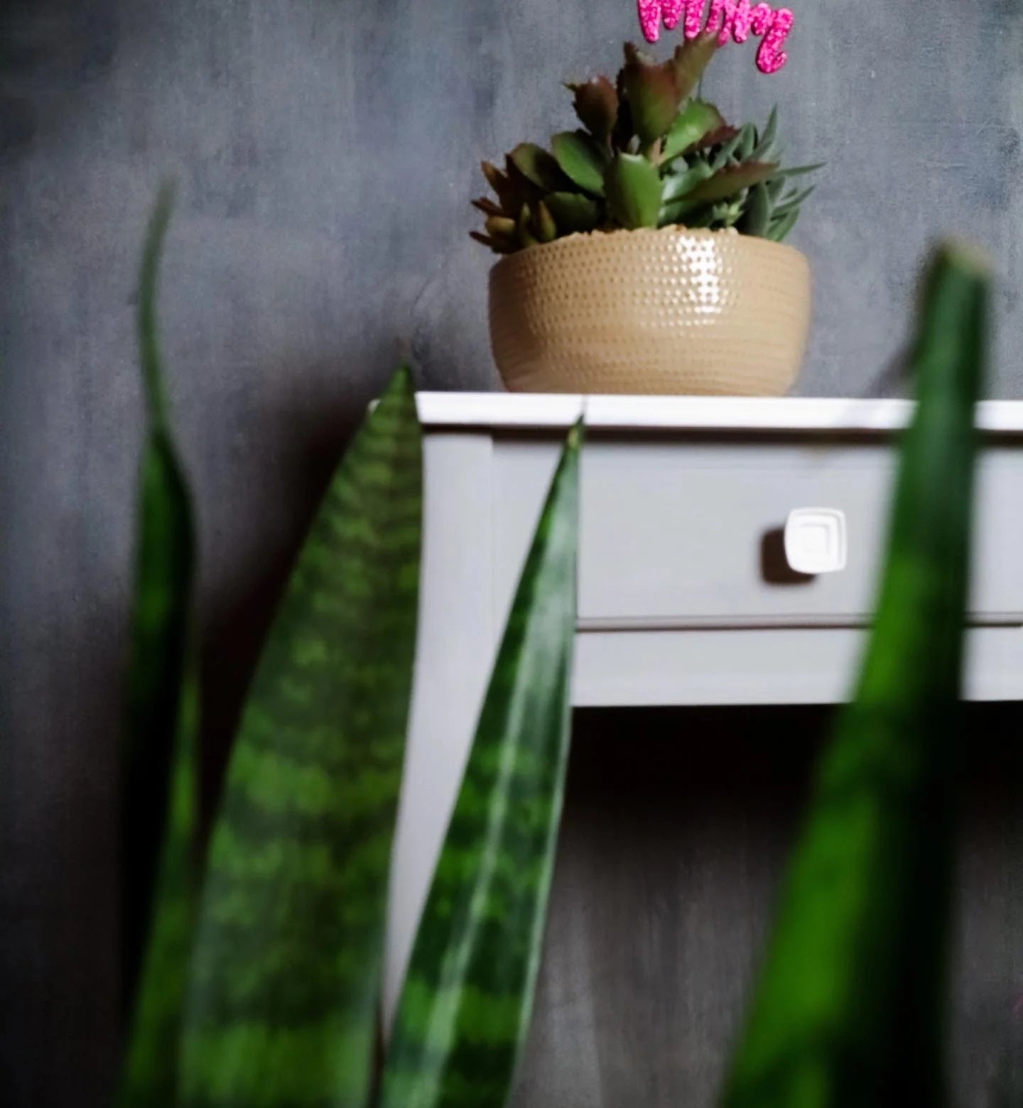 Mint Mineral Paint - THE SOUND OF RAIN | Light, Soft Grey Furniture Paint