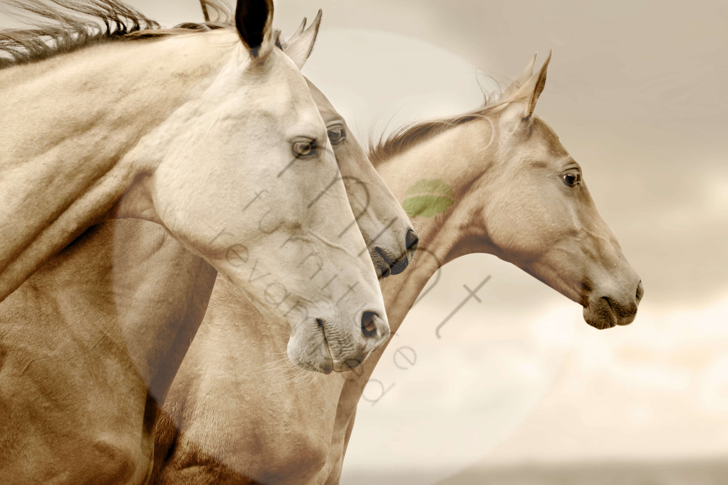 SEPIA HORSES Decoupage Paper | MINT By Michelle | Decoupage Papers for Furniture