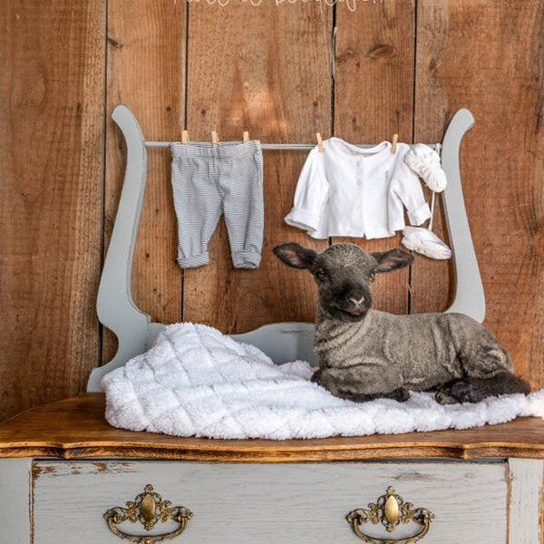 Little Lamb, Warm Grey - Fusion Mineral Paint