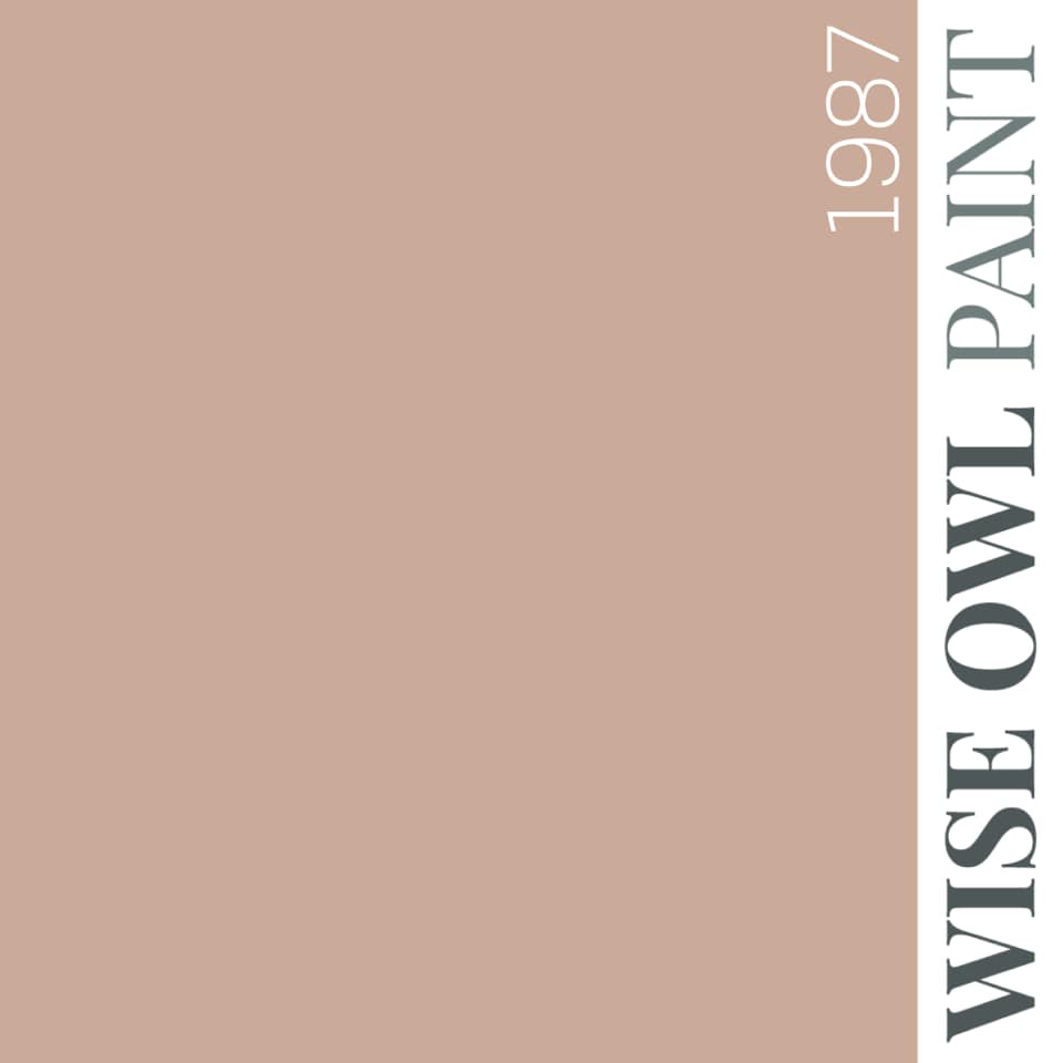 1987 - Dusky Pink - Wise Owl One Hour Enamel Paint