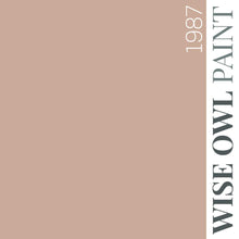 Load image into Gallery viewer, 1987 - Dusky Pink - Wise Owl One Hour Enamel Paint