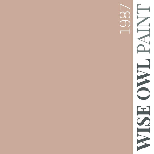 1987 - Dusky Pink - Wise Owl One Hour Enamel Paint