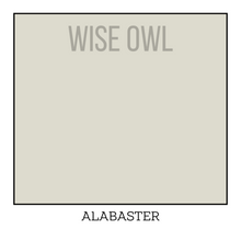 Load image into Gallery viewer, Ivory Furniture Paint - Alabaster - Wise Owl One Hour Enamel Paint