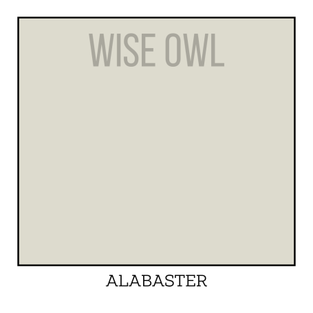 Ivory Furniture Paint - Alabaster - Wise Owl One Hour Enamel Paint