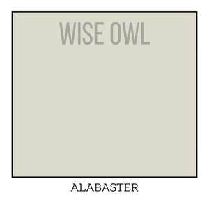 Ivory Furniture Paint - Alabaster - Wise Owl One Hour Enamel Paint