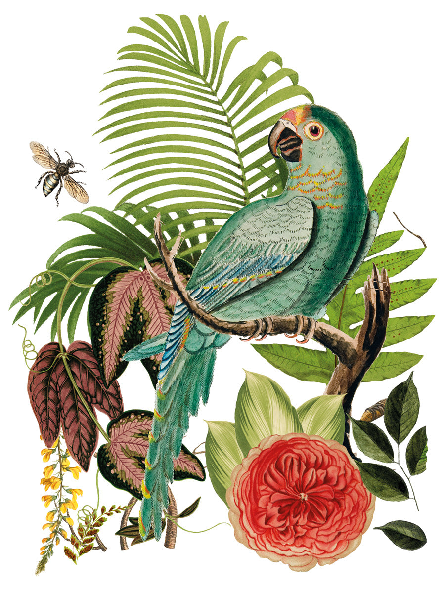 Bungalow IOD Transfer - Iron Orchid Designs