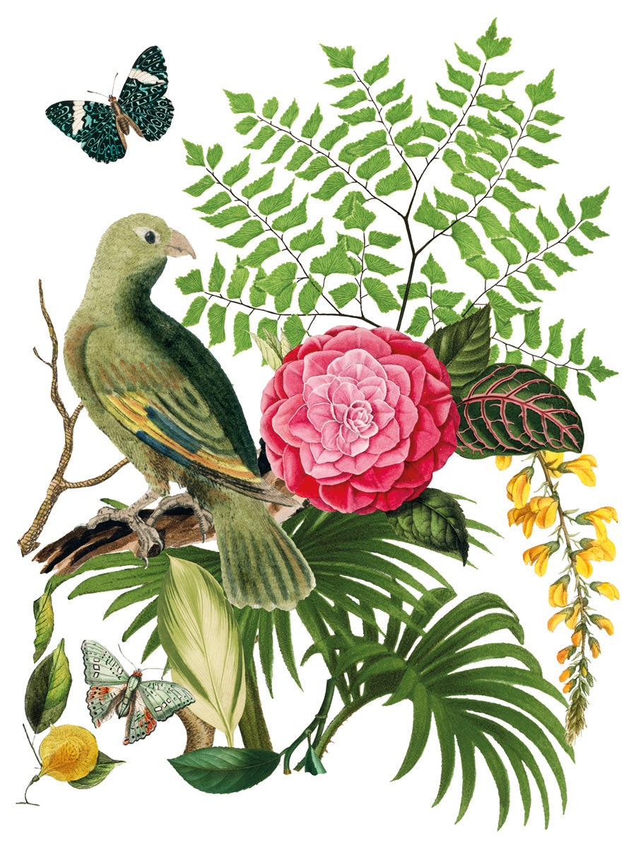 Bungalow IOD Transfer - Iron Orchid Designs