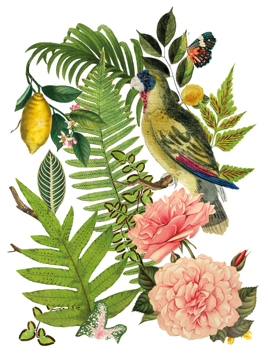 Bungalow IOD Transfer - Iron Orchid Designs
