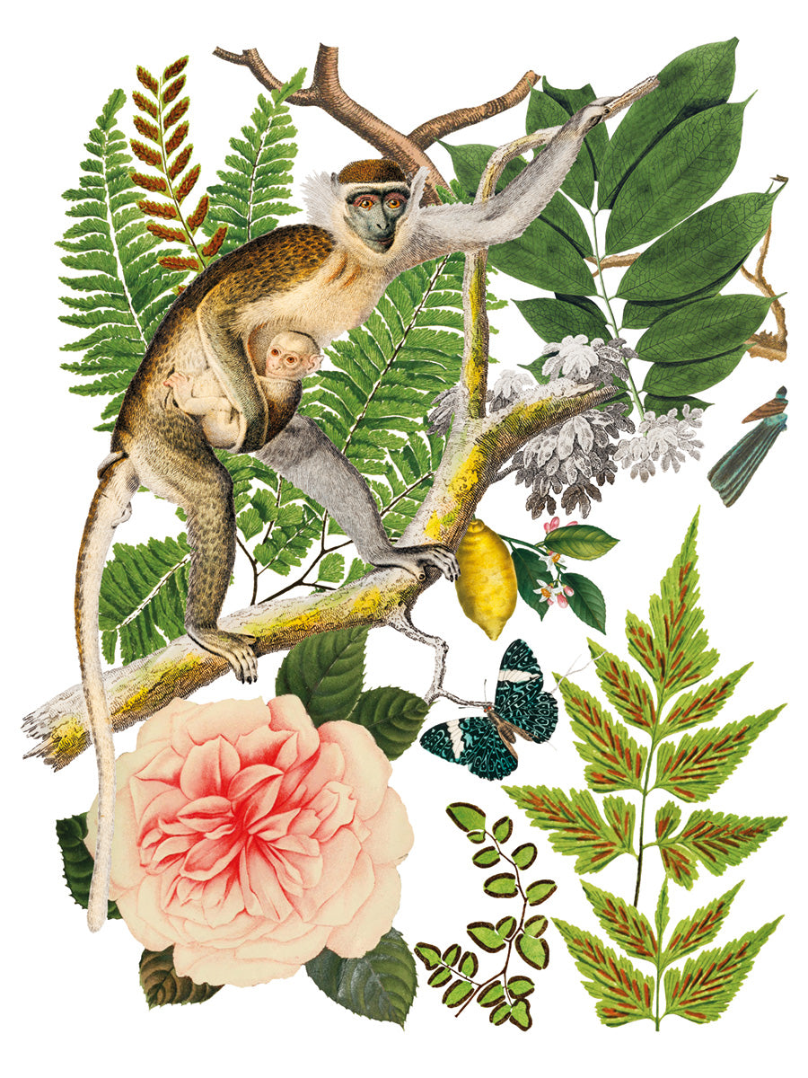 Bungalow IOD Transfer - Iron Orchid Designs