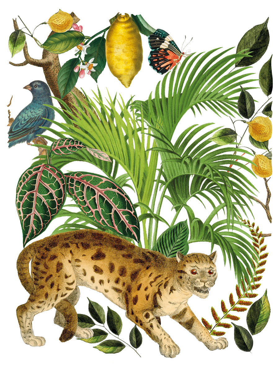Bungalow IOD Transfer - Iron Orchid Designs