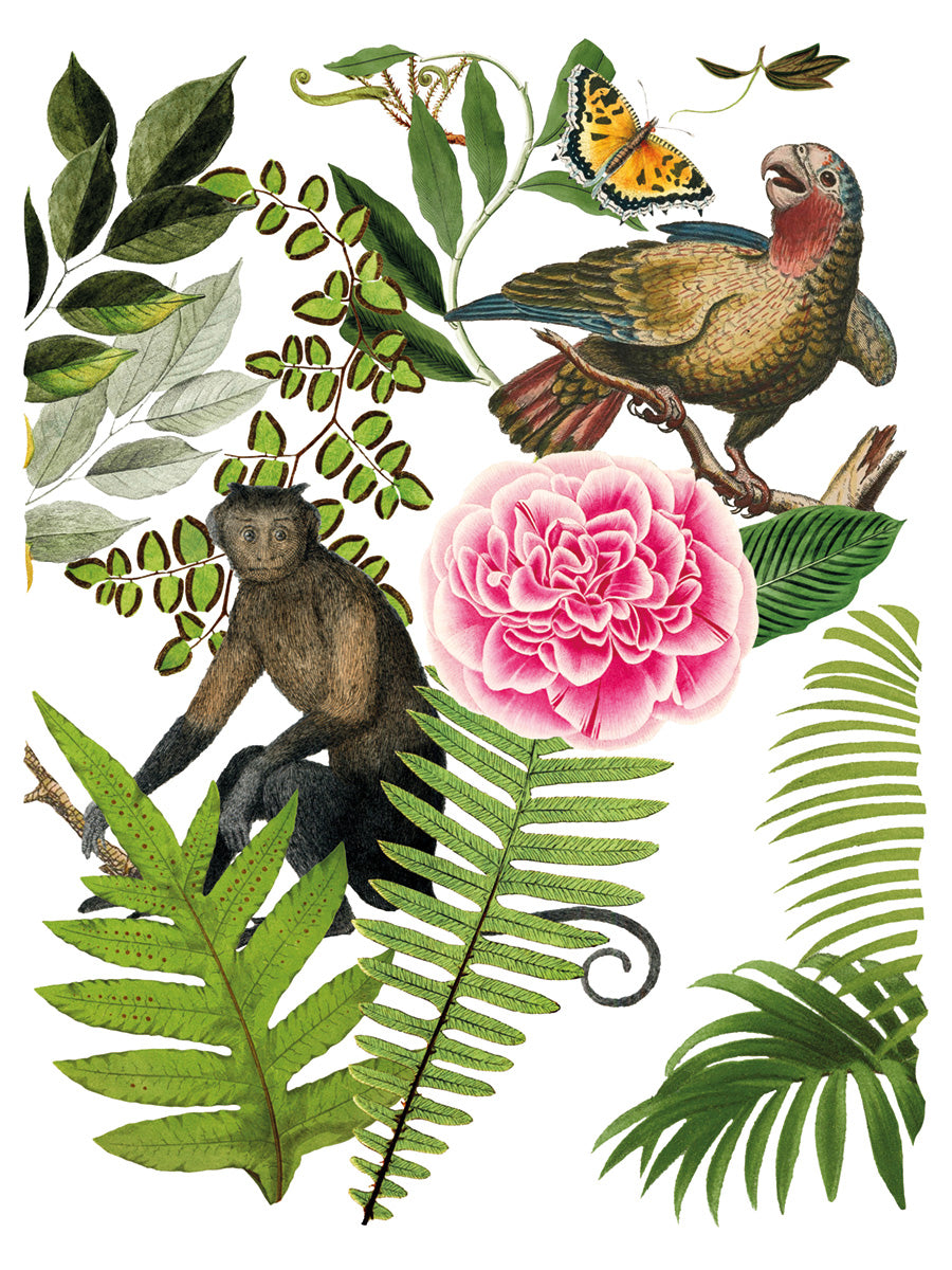 Bungalow IOD Transfer - Iron Orchid Designs