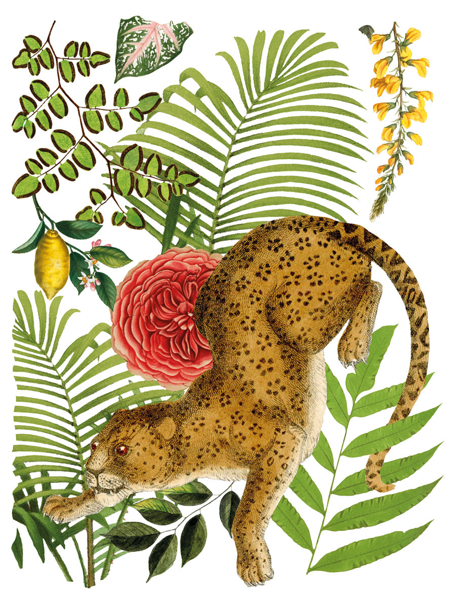 Bungalow IOD Transfer - Iron Orchid Designs