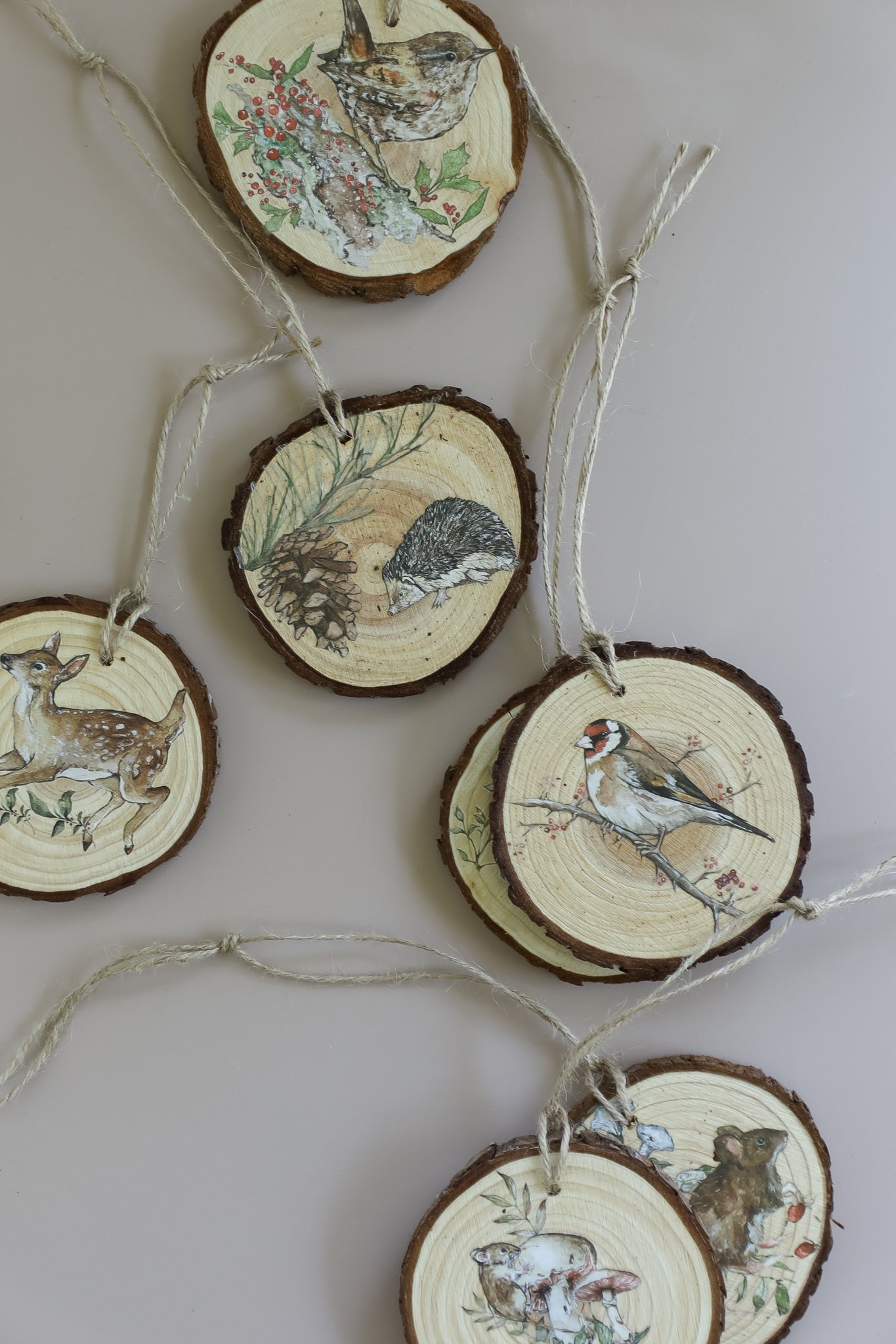 The Bramblewood Diaries IOD Transfer - Iron Orchid Designs