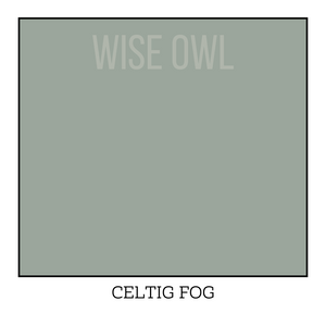 Pale Green - Celtic Fog - Wise Owl One Hour Enamel Paint