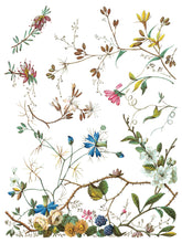 Load image into Gallery viewer, Lost Garden IOD Transfer - Iron Orchid Designs