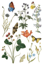 Load image into Gallery viewer, Wilde Bloemen IOD Transfer - Iron Orchid Designs