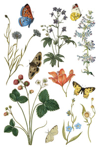 Wilde Bloemen IOD Transfer - Iron Orchid Designs