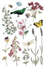 Load image into Gallery viewer, Wilde Bloemen IOD Transfer - Iron Orchid Designs