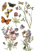 Load image into Gallery viewer, Wilde Bloemen IOD Transfer - Iron Orchid Designs