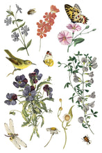 Load image into Gallery viewer, Wilde Bloemen IOD Transfer - Iron Orchid Designs