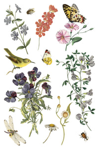 Wilde Bloemen IOD Transfer - Iron Orchid Designs