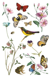 Wilde Bloemen IOD Transfer - Iron Orchid Designs