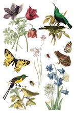 Load image into Gallery viewer, Wilde Bloemen IOD Transfer - Iron Orchid Designs