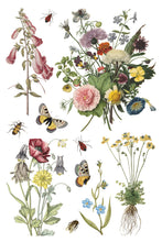 Load image into Gallery viewer, Wilde Bloemen IOD Transfer - Iron Orchid Designs