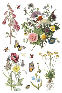 Wilde Bloemen IOD Transfer - Iron Orchid Designs
