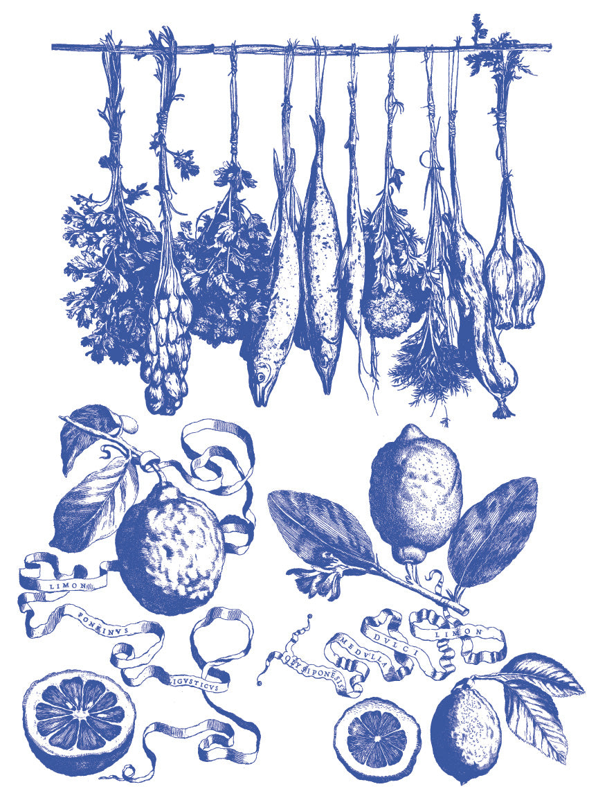 Portofino IOD Paint Inlay - Iron Orchid Designs