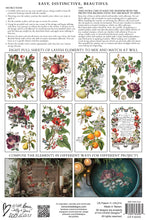 Load image into Gallery viewer, Clementine IOD Transfer - Iron Orchid Designs