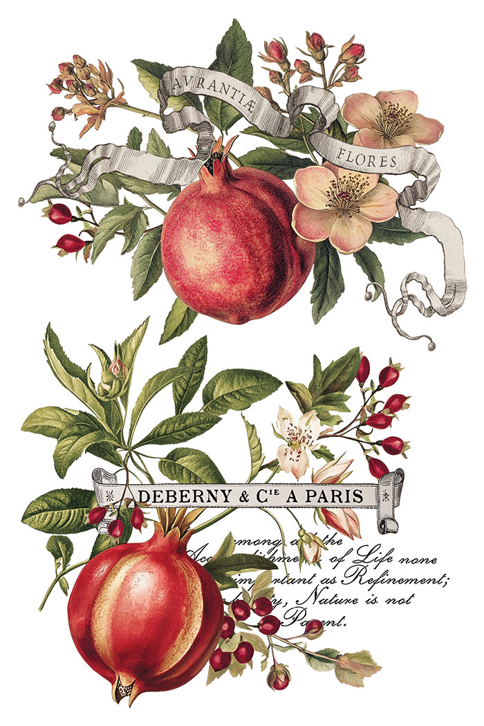 Clementine IOD Transfer - Iron Orchid Designs