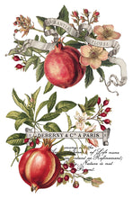Load image into Gallery viewer, Clementine IOD Transfer - Iron Orchid Designs