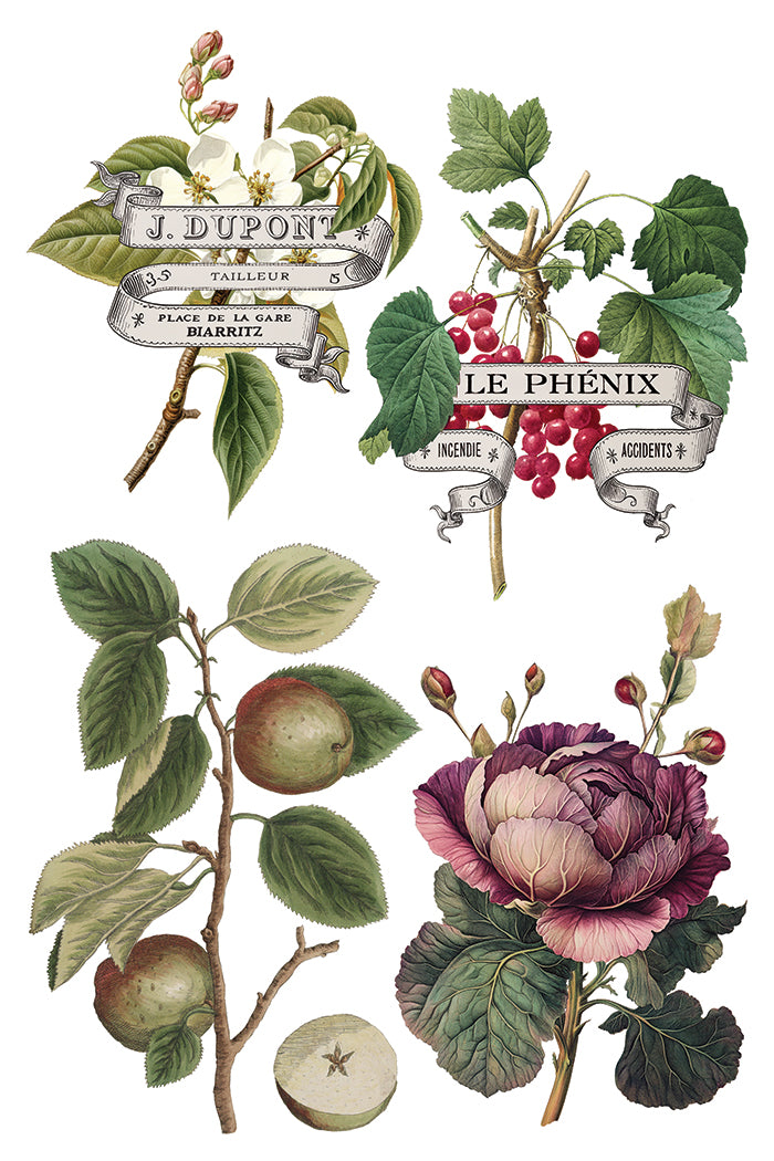 Clementine IOD Transfer - Iron Orchid Designs