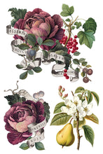 Load image into Gallery viewer, Clementine IOD Transfer - Iron Orchid Designs