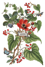 Load image into Gallery viewer, Clementine IOD Transfer - Iron Orchid Designs