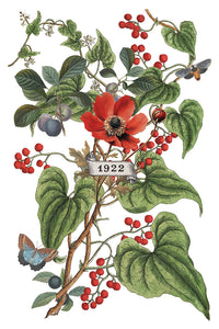 Clementine IOD Transfer - Iron Orchid Designs