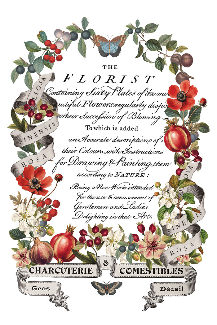 Clementine IOD Transfer - Iron Orchid Designs