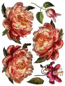 Collage De Fleurs IOD Transfer - Iron Orchid Designs