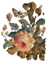 Load image into Gallery viewer, Joie Des Roses IOD Transfer - Iron Orchid Designs
