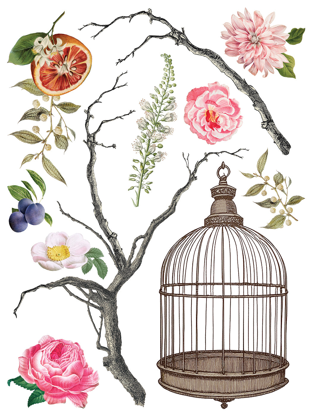 Menagerie IOD Transfer - Iron Orchid Designs